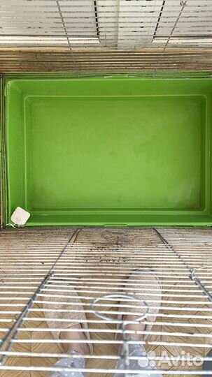 Клетка для грызунов и птиц