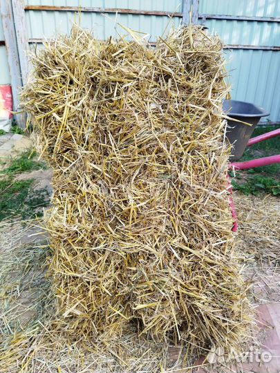 Солома в тюках
