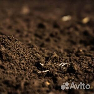Торф для сада и огорода