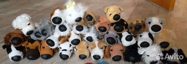 The dog collection, собаки с журналами