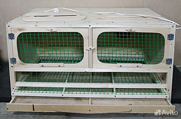 Брудер для цыплят