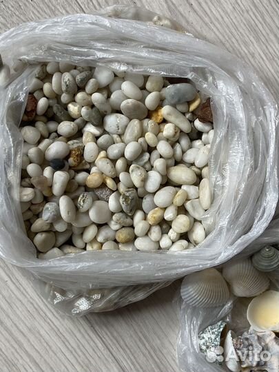 Аквариум ракушки камушки
