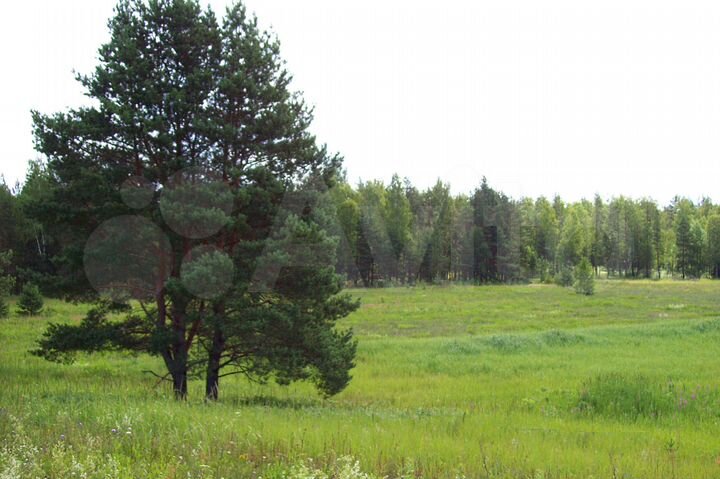 Участок 70 сот. (ИЖС)