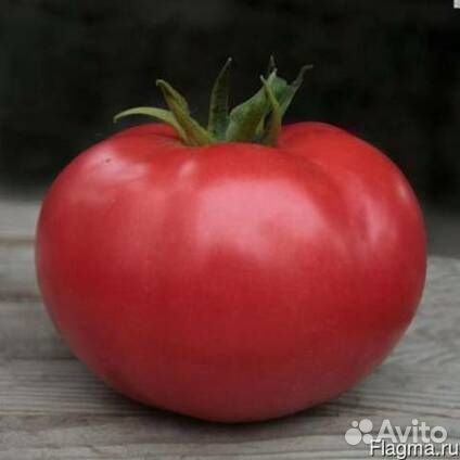 Семена томата TMG-17608