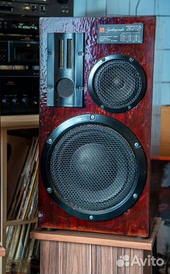 Акустическая система Электроника 25 ас-027