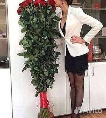 101 роза цветы букеты доставка 25 51 101 роза