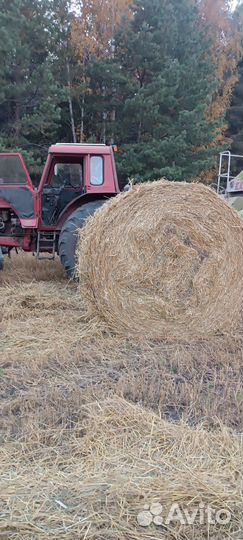 Солома в рулонах