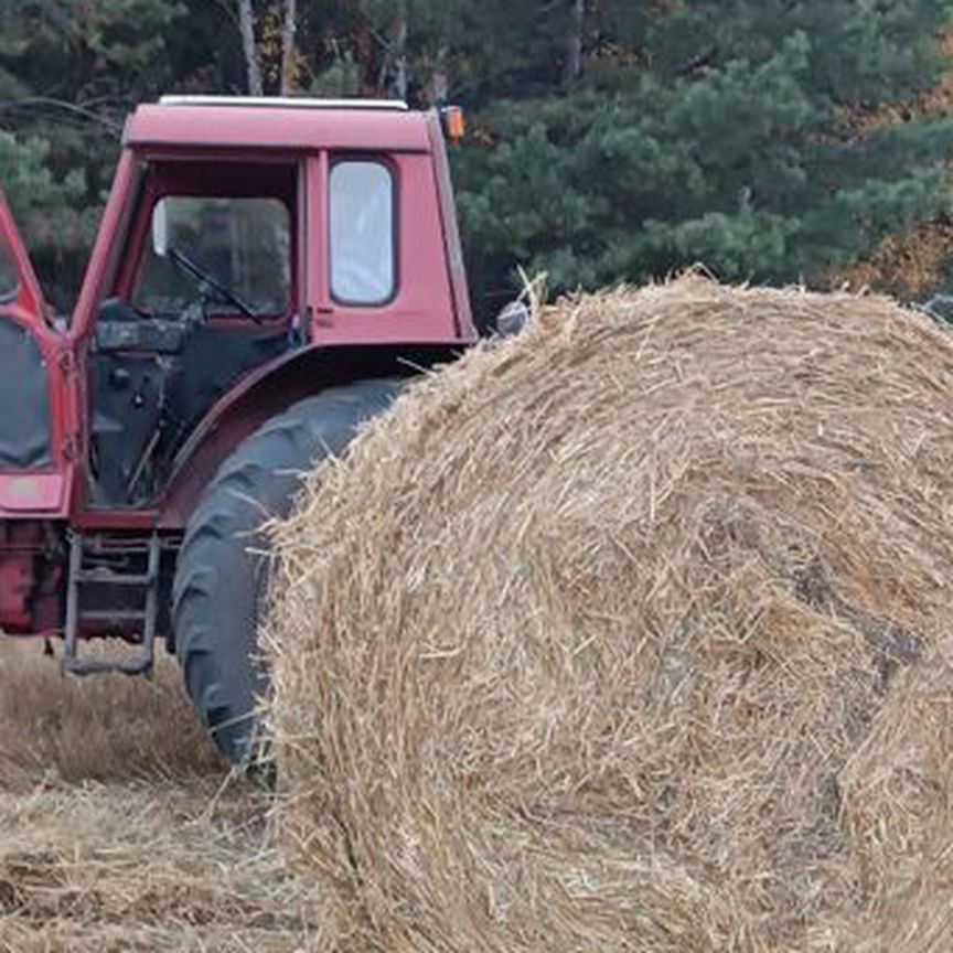 Солома в рулонах