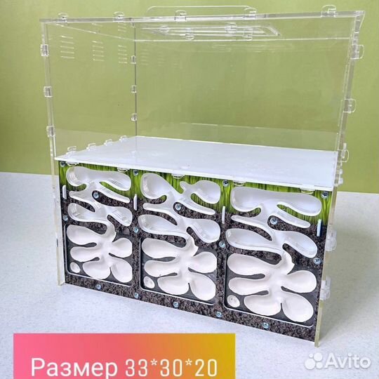 Муравьиная ферма большая с муравьями