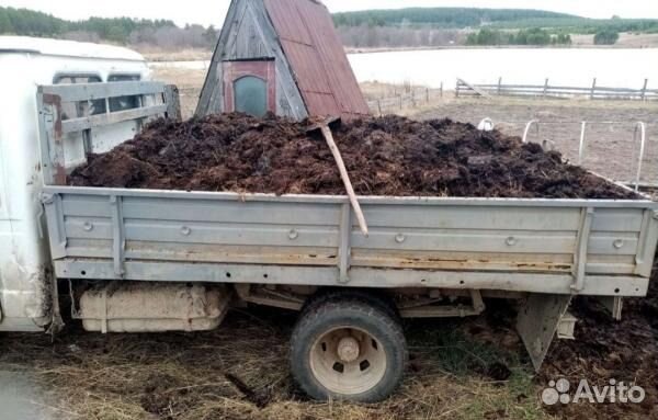 Конский навоз в газели