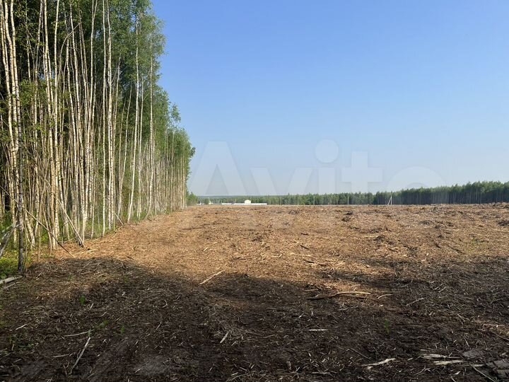 Участок 15,3 сот. (СНТ, ДНП)