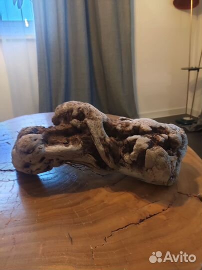 Коряги для аквариума или декора