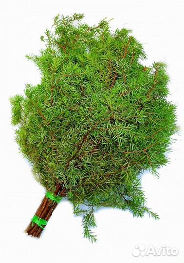 Веники для бани