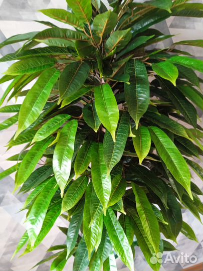 Искусственное дерево