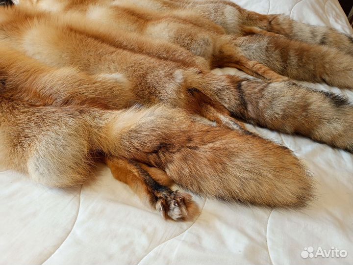 Шкура рыжей лисы