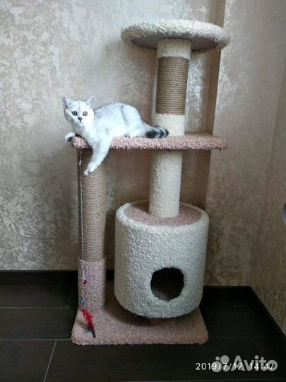 Когтеточки с домиком