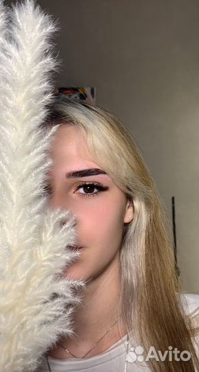 Мастер бровист