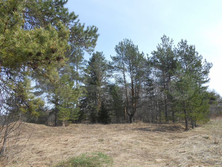 Участок 2 га (СНТ, ДНП)