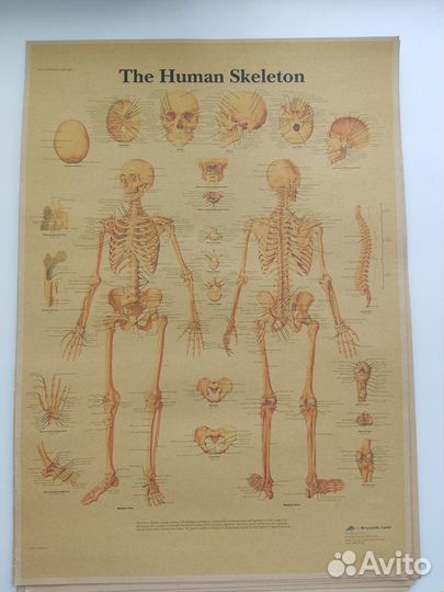 Постеры под винтаж