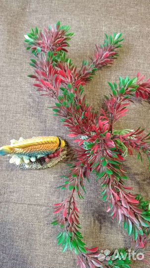 Для аквариума