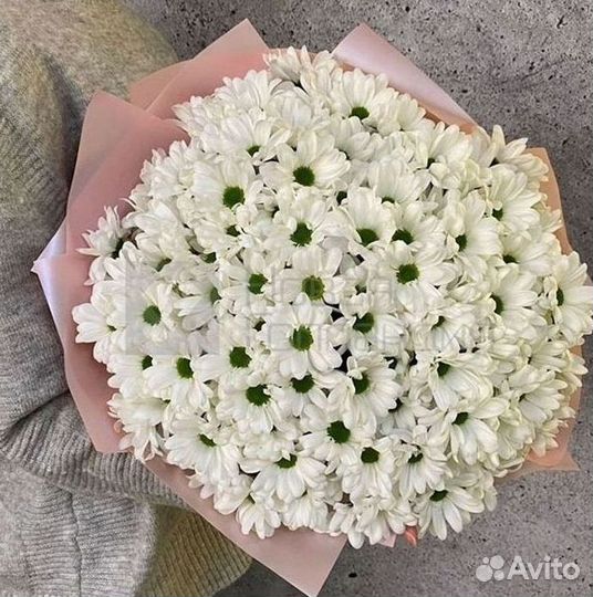 Хризантема Букеты с доставкой