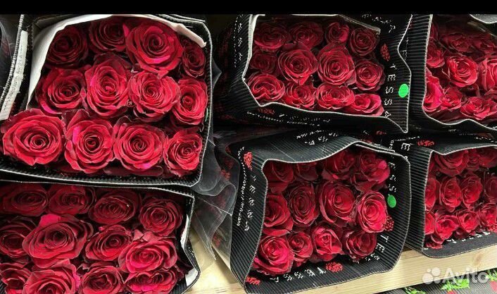 Розы Эквадор