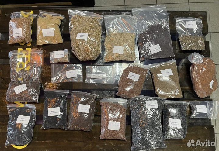 Семена для микрозелени оптом и в розницу