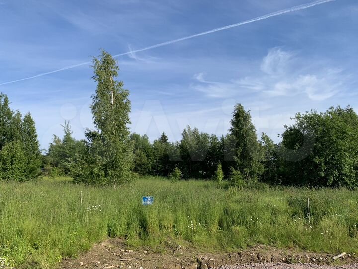 Участок 12 сот. (СНТ, ДНП)