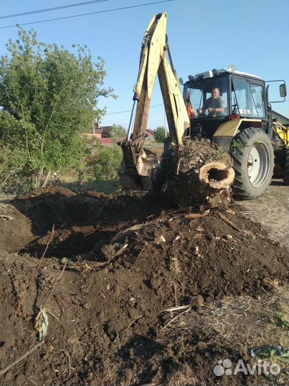 Спил деревьев