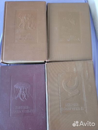 Жизнь животных