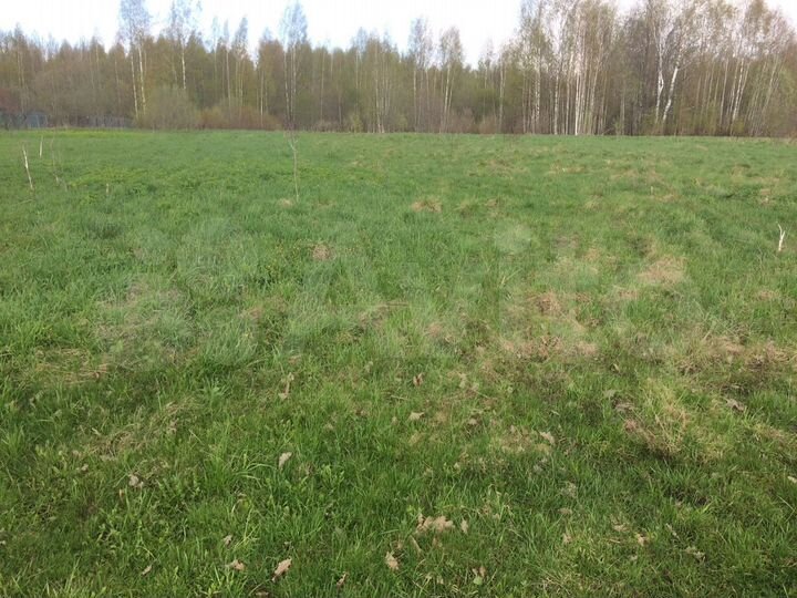 Участок 20 сот. (ИЖС)
