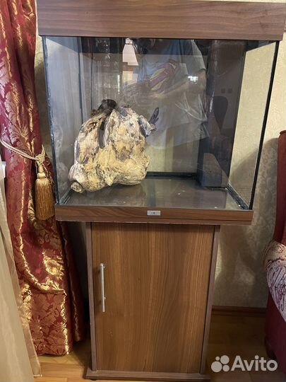 Аквариум бу