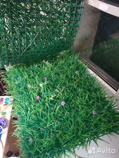 Самшитовый коврик