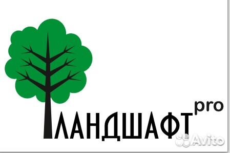 Продавец-кассир 5/2