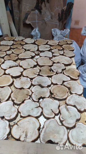 Спилы можжевельника