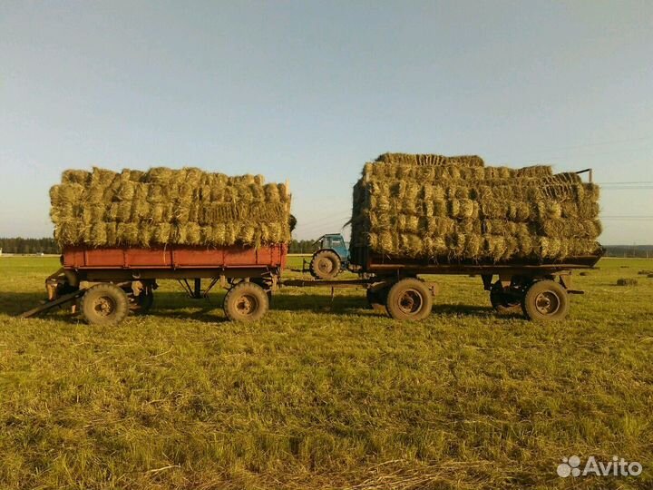 Сено в тюках