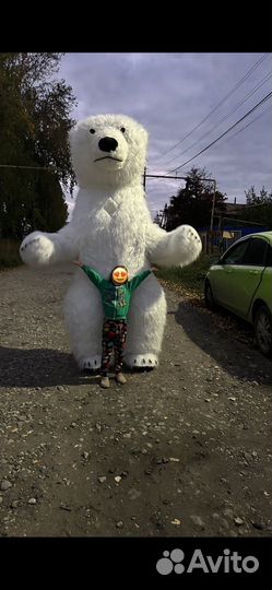 Белый медведь