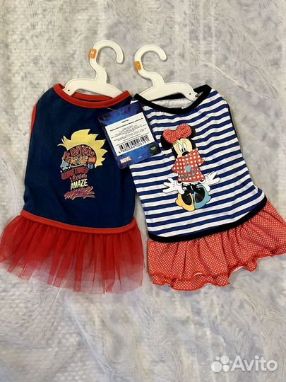 Одежда для собак мелких пород