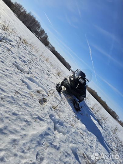 Тайга 500