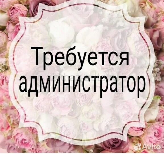 Администратор магазина одежды в ТЦ Вива Ленд