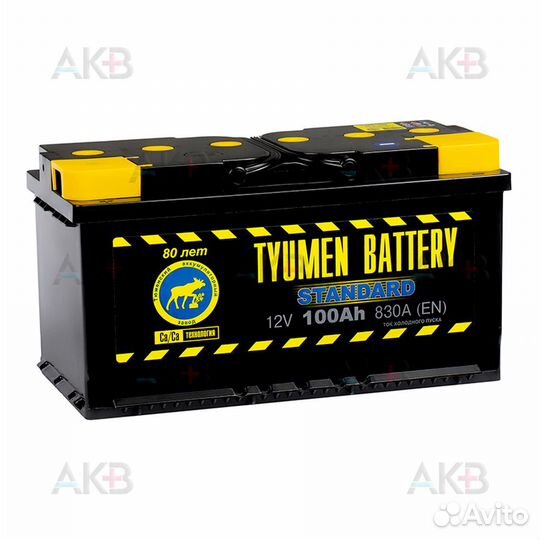 Аккумулятор автомобильный Tyumen Battery Standard