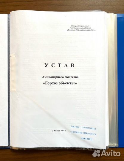 Ао «Горхоз объекты». Готовое ао. Готовая фирма