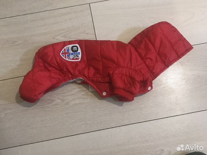 Одежда для собак