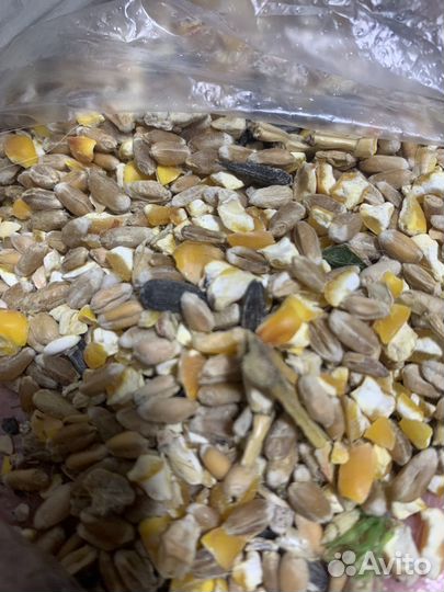 Корм для птицы или грызуна