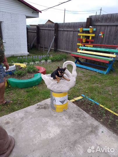 Садовая фигура лебедя