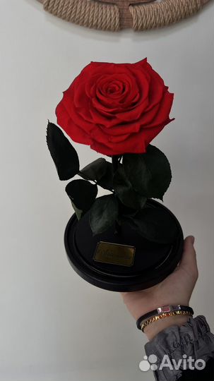 Вечная роза в колбе