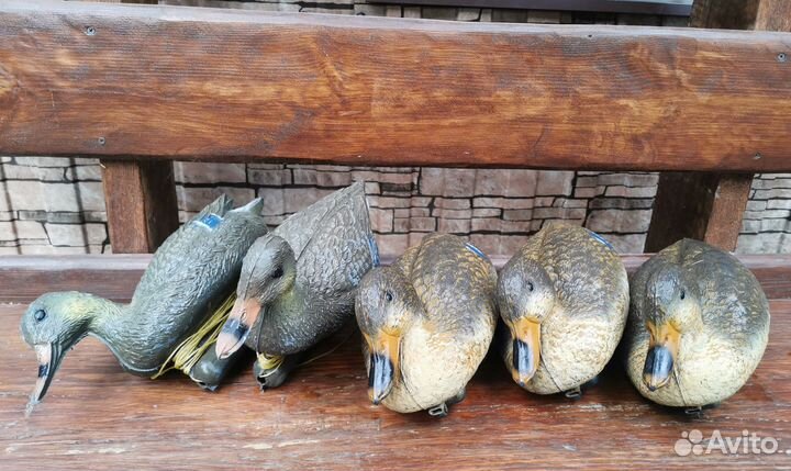 Утки подсадные для охоты