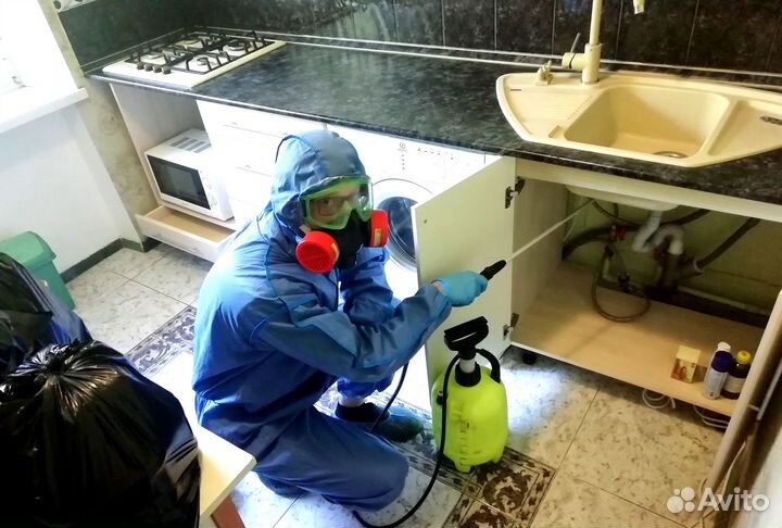 Уничтожение тараканов клопов грызунов дезинфекция