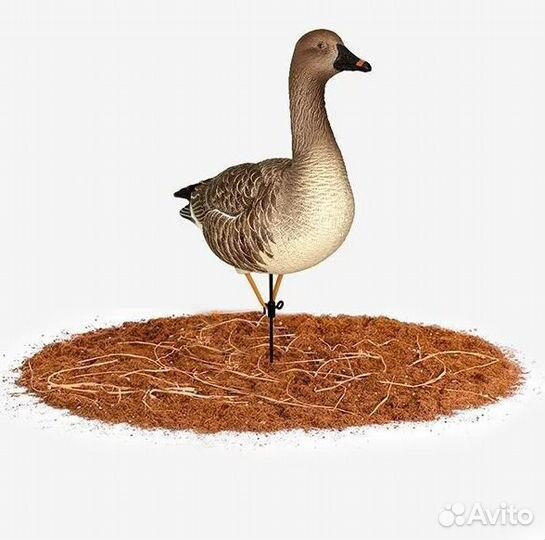 Чучела гусь гуменник 5шт + 1 робот DM-777502