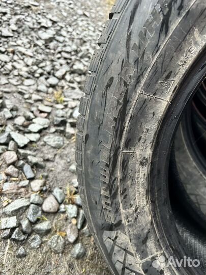 Windforce Snowblazer 255/55 R19 111V